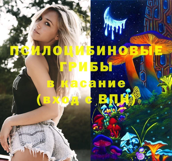 индика Переславль-Залесский