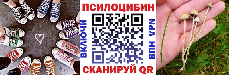 Галлюциногенные грибы Psilocybe  Мичуринск 